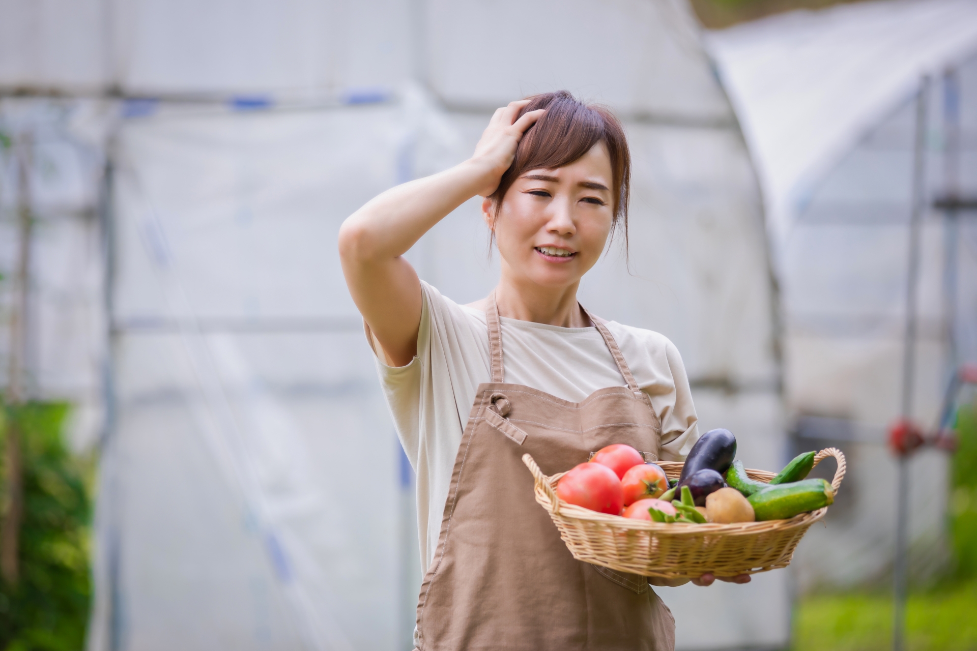 農業　儲からない